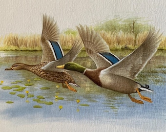 Vintage bird print mallard