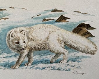 Vintage animal print Arctic fox