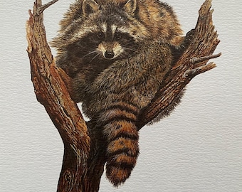 Vintage animal print raccoon