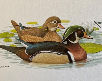 Vintage bird print Carolina duck