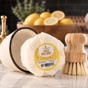 Solid Dish Soap Set | Zero-Waste, Handmade, Citrus Scent, Bamboo Brush, Ceramic Ramekin | Plastic-Free Kitchen
