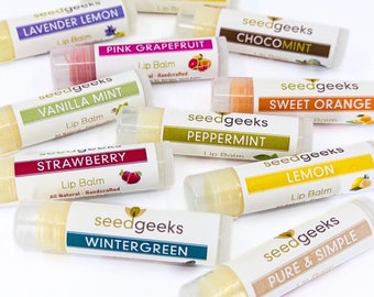 All Natural Lip Balm - Seedgeeks Lip Gloss, Clean Ingredients, No Artificial Colors, Natural Flavors, Beeswax Lip Butter, Organic Body Care