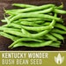 see more listings in the Vegetable Seeds section