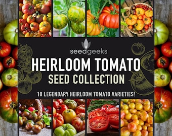 Heirloom Tomato Seed Collection – 10 Unique Varieties, Gardener Gift