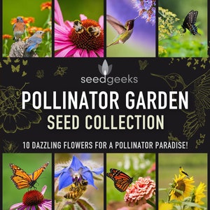 May include: A collage of images featuring various pollinators, including butterflies, hummingbirds, bees, and birds, interacting with a variety of flowers. The text "seedgeeks POLLINATOR GARDEN SEED COLLECTION 10 DAZZLING FLOWERS FOR A POLLINATOR PARADISE!" is displayed in the center of the image.