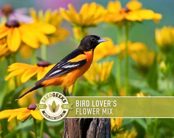 Mezcla de semillas de flores silvestres para observadores de aves: semillas tradicionales sin OMG y respetuosas con las aves
