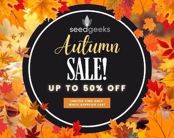 MASSIVE FALL 50% OFF Seed Promo! Limited time only, while supplies last!