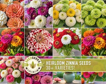 Zinnia Flower Seeds | 30+ Heirloom Varieties, Cut Flowers, Colorful, Pollinator Garden, Zinnia elegans