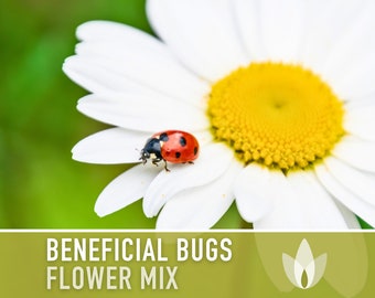 Beneficial Bug Blooms Seed Mix - Heirloom Seeds, Seed Packets, Flower Seeds, Wildflower Seeds, Non GMO, Open Pollinated