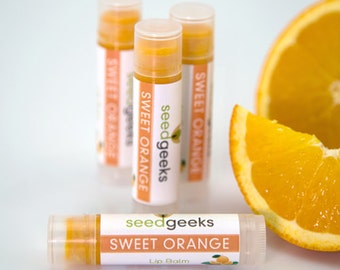 Sweet Orange  Lip Balm - Natural Lip Balm, Chapstick, Lip Gloss, Flavored Lip Balm, Beeswax Lip Balm, Organic Lip Balm