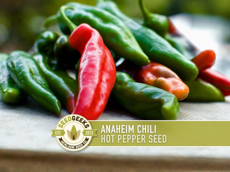 Anaheim Chili Seeds | 25+ Seeds, Heirloom, Mild Flavor, Versatile Use | Capsicum annuum image 1