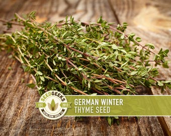 German Winter Thyme Seeds - Non-GMO Heirloom Culinary Medicinal Herb