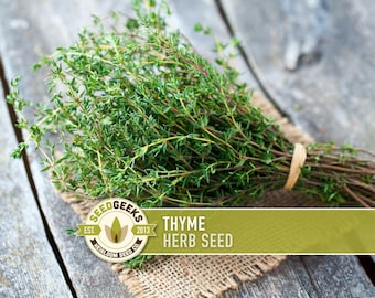 Thyme Herb Seeds | 200+ Seeds, Heirloom, Organic, Culinary, Medicinal, Rare, Perennial, Thymus vulgaris