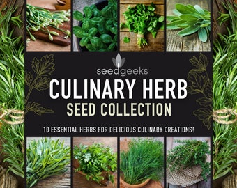 Culinary Herb Seed Collection - 10 Flavorful Heirloom Herbs for Delicious Culinary Creations, Birthday Gift, Stocking Stuffer, OP, Non-GMO