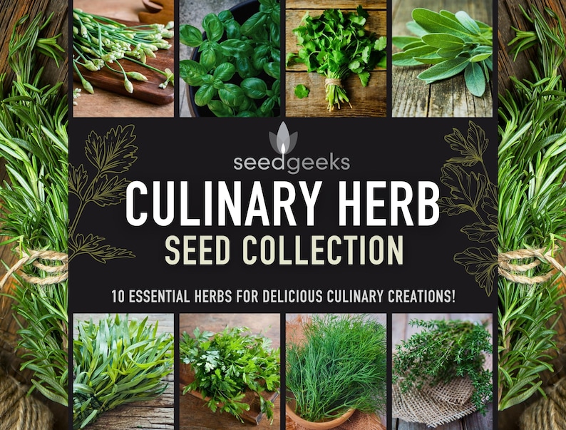 Culinary Herb Seed Collection 10 Flavorful Heirloom Herbs for Delicious Culinary Creations, Birthday Gift, Stocking Stuffer, OP, Non-GMO image 1