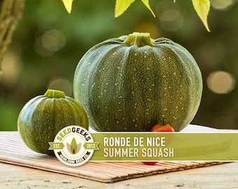 Ronde de Nice Zucchini Seeds – Heirloom Summer Squash, Nutty Flavor