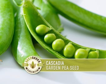 Könnte beinhalten: Nahaufnahme von leuchtend grünen Erbsenschoten, eine davon geöffnet, um mehrere runde, grüne Erbsen zu zeigen. Das Bild enthält den Text "Cascadia Garden Pea Seed" und ein Seed Geeks Logo.
