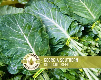 Georgia Southern Collards Heirloom Seeds
