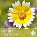 see more listings in the Flower Seeds section