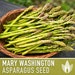 see more listings in the Vegetable Seeds section