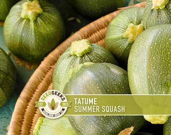 Tatume Summer Squash Seeds - Heirloom, Organic, Non-GMO