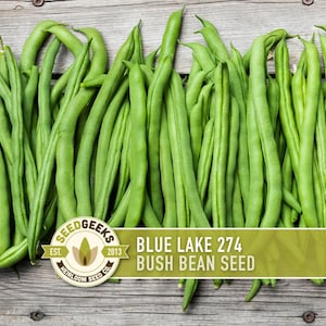 May include: A pile of fresh, bright green Blue Lake 274 bush beans, displayed on a weathered wooden surface. The image includes a Seed Geeks logo and text that reads "Blue Lake 274 Bush Bean Seed".