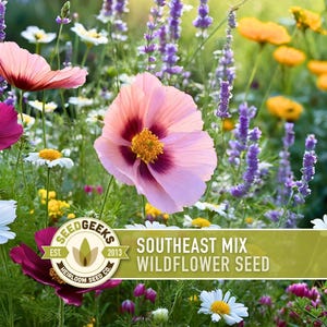 Southeast Wildflower Seed Mix – Heirloom, Native Flowers