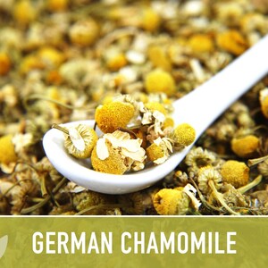 German Chamomile Seeds | 200+ Seeds, Heirloom, Medicinal, Organic | Matricaria chamomilla zdjęcie 10