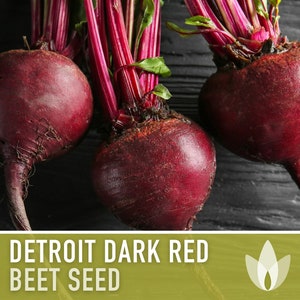 Detroit Dark Red Beet Heirloom Seeds