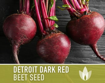 Detroit Dark Red Beet Heirloom Seeds