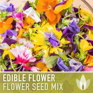 Edible Flower Heirloom Seed Mix - Seed Packets, Flower Seeds, Herb Seeds, Non GMO, Open Pollinated