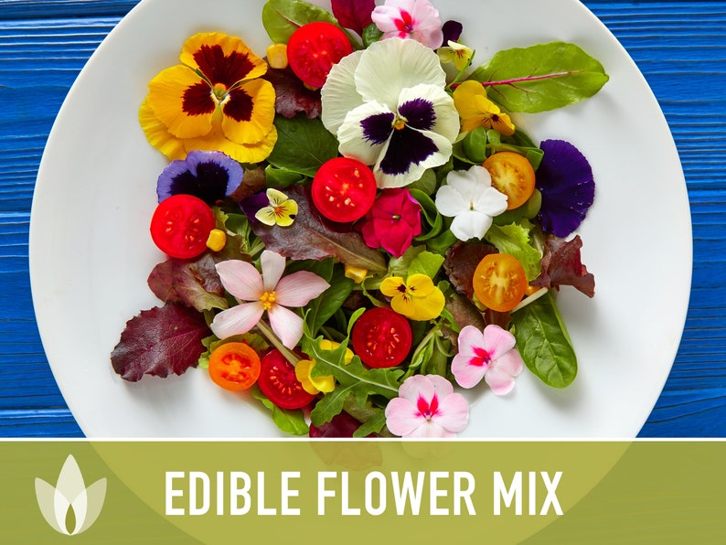 Edible Flower Heirloom Seed Mix Seed Packets Flower Seeds Etsy