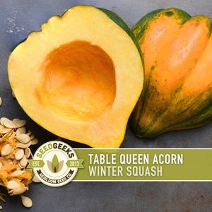 May include: A halved Table Queen acorn squash with a bright orange interior sits next to a whole squash with green and orange skin. A pile of seeds and the text "Table Queen Acorn Winter Squash" are also visible.