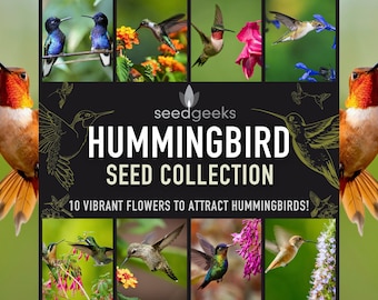 Hummingbird Flower Seed Collection - 10 Heirloom Nectar Varieties