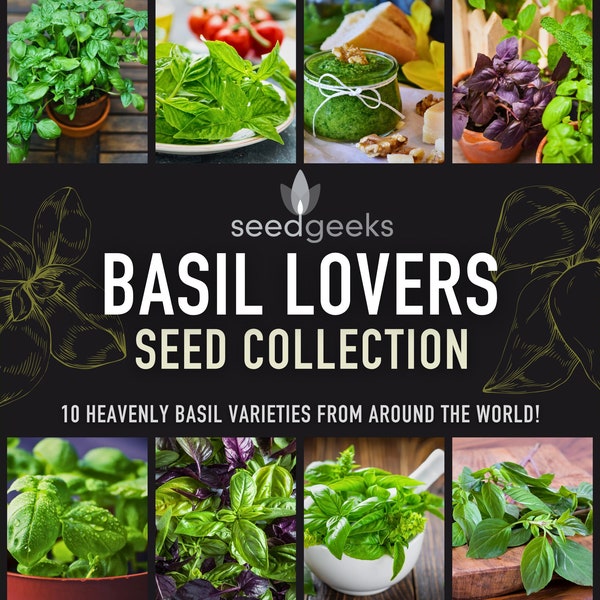 Basil Lovers Seed Collection - 10 Heavenly Heirloom Basil Varieties From Around The World, Pesto, Seed Kit, Open Pollinated, Non-GMO