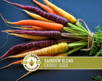 Rainbow Carrot Seeds | 150+ Seeds, Five Color Heirloom Blend, Non-GMO, Daucus carota sativus