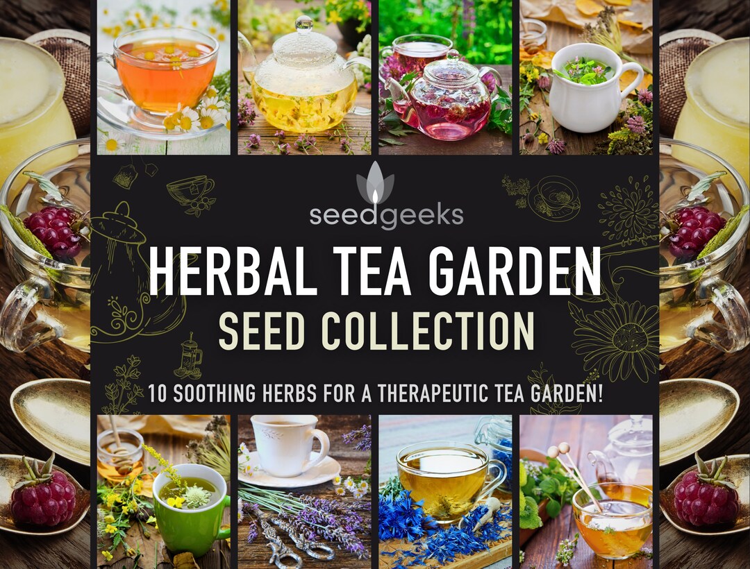 Herbal Tea Garden Seed Collection 10 Soothing Herbs for Growing A