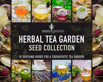 Herbal Tea Garden Seed Collection - 10 Heirloom Non-GMO Herbs