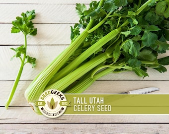 Tall Utah Celery Seeds - Heirloom, Open Pollinated, Non-GMO