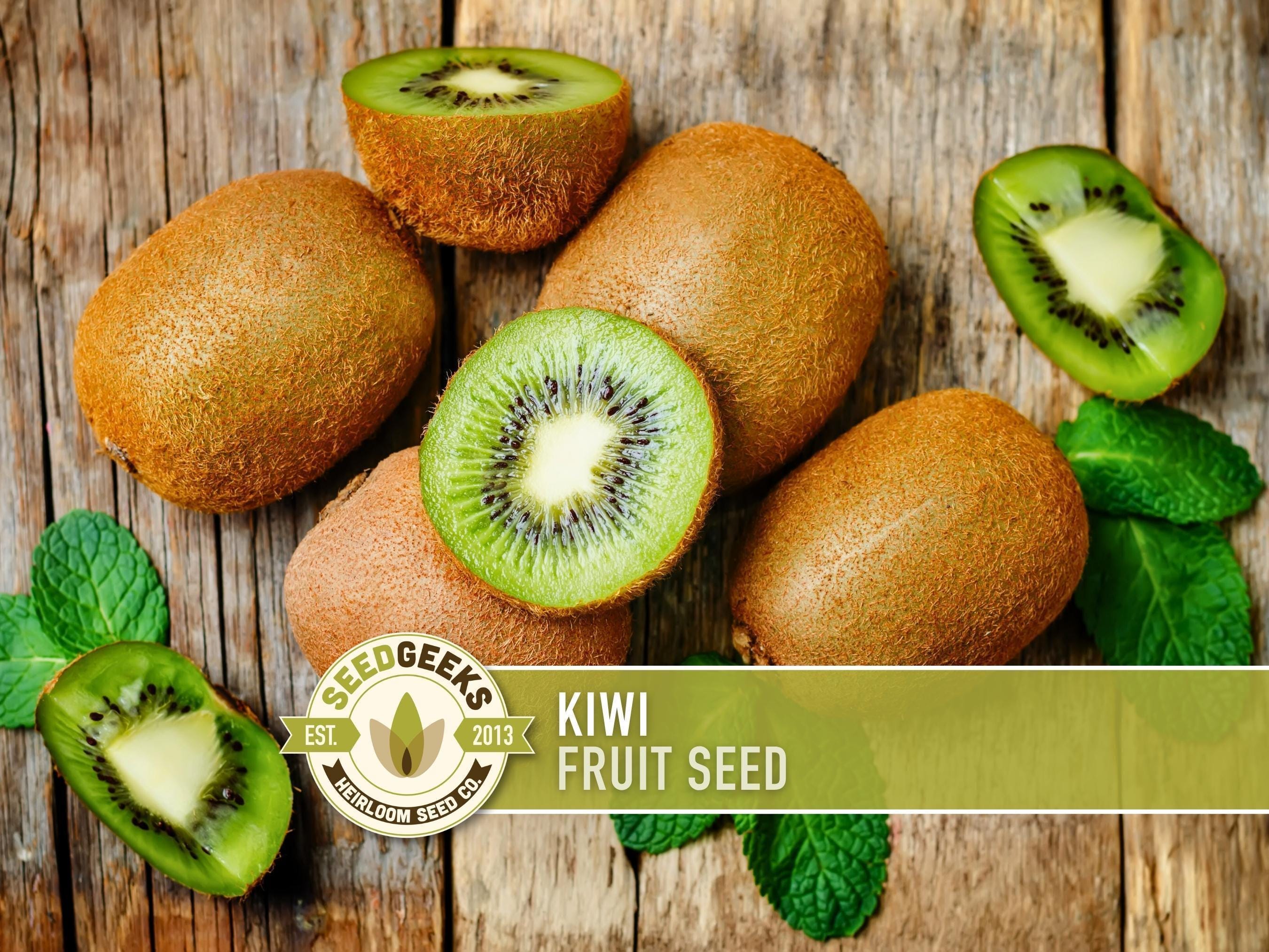 Kiwi Fruit Seeds - Heirloom, Non-gmo (100 Seeds) - Etsy