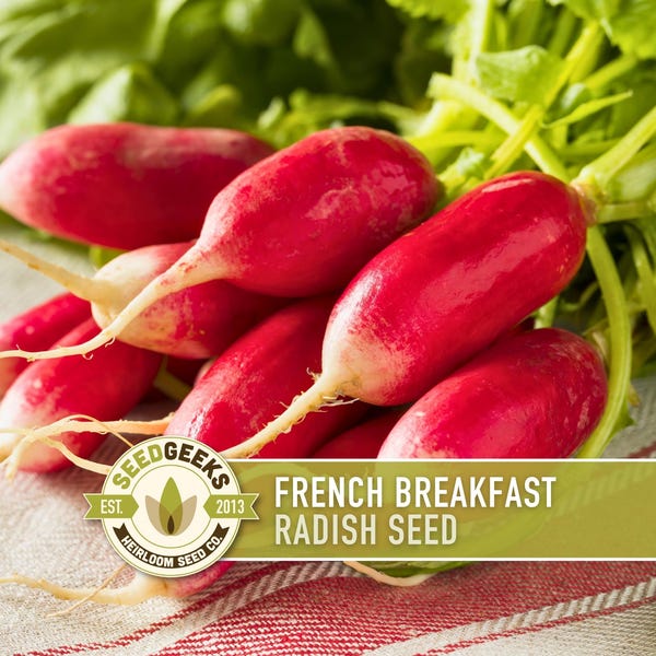 French Breakfast Radish Heirloom Seeds