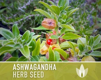 califia plant California Mugwort Seeds
