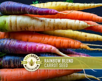 Rainbow Carrot Seeds | 150+ Seeds, Five Color Heirloom Blend, Non-GMO, Daucus carota sativus