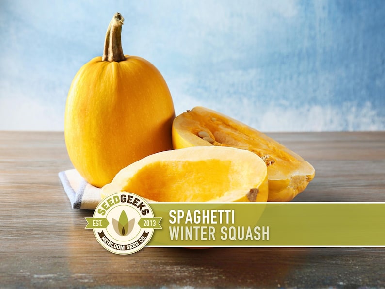 a yellow winter squash on a wooden surface, with a sliced piece of the squash next to it. The background is a blue-gray color.