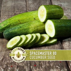 Spacemaster 80 Bush Cucumber Seeds | 30+ Seeds, Heirloom, Disease Resistant, Container Garden, Cucumis sativus