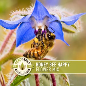 Mezcla de semillas de flores Honey Bee Happy - Semillas tradicionales, mezcla de flores silvestres, polinización abierta, sin OMG
