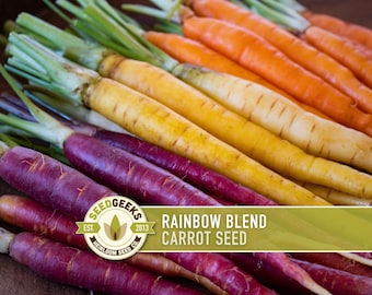 Rainbow Carrot Seeds | 150+ Seeds, Five Color Heirloom Blend, Non-GMO, Daucus carota sativus