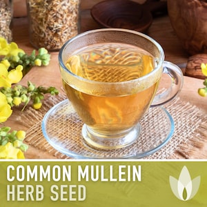 May include: A cup of herbal tea made with common mullein, a yellow flowering plant, with the text "COMMON MULLEIN HERB SEED" on a green background.