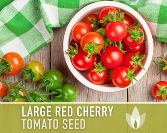 Large Red Cherry Tomato Heirloom Seeds - Fresh Salad, Indeterminate, Open Pollinated, Non-GMO