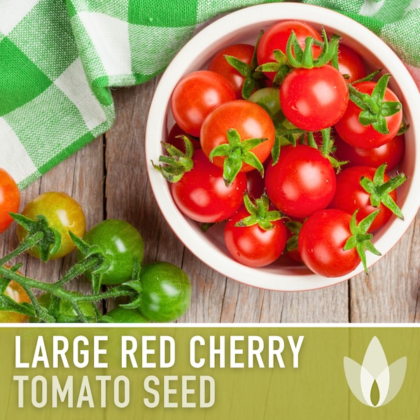 Large Red Cherry Tomato Heirloom Seeds - Fresh Salad, Indeterminate, Open Pollinated, Non-GMO